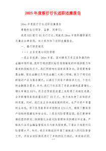 2025年度银行行长述职述廉报告