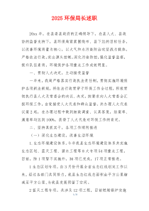 2025环保局长述职