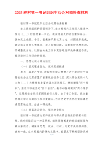 2025驻村第一书记组织生活会对照检查材料