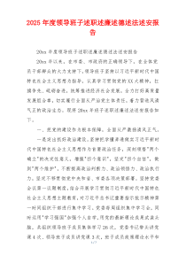 2025年度领导班子述职述廉述德述法述安报告
