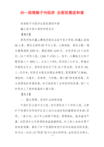 45—找准路子兴经济 全面发展促和谐
