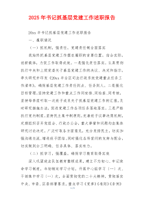 2025年书记抓基层党建工作述职报告
