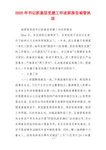 2025年书记抓基层党建工作述职报告城管执法