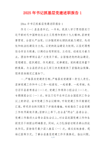 2025年书记抓基层党建述职报告1