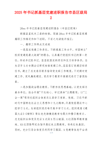 2025年书记抓基层党建述职报告市县区级局2