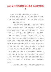 2025年书记抓基层党建述职报告市县区级局4