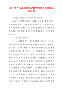 2025年产业融合区综合协调处党支部党建工作汇报