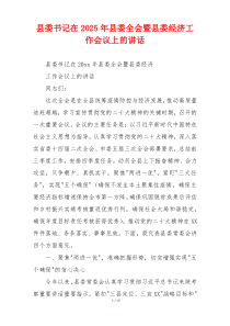 县委书记在2025年县委全会暨县委经济工作会议上的讲话