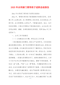 2025年水利部门领导班子述职总结报告