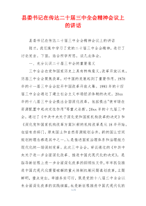 县委书记在传达二十届三中全会精神会议上的讲话