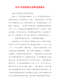 2025年法院院长述职述责报告