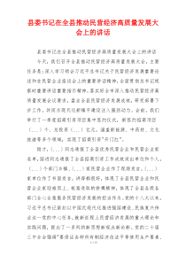 县委书记在全县推动民营经济高质量发展大会上的讲话