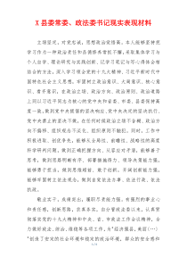 X县委常委、政法委书记现实表现材料
