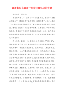 县委书记在县委一次全体会议上的讲话
