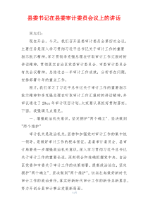 县委书记在县委审计委员会议上的讲话