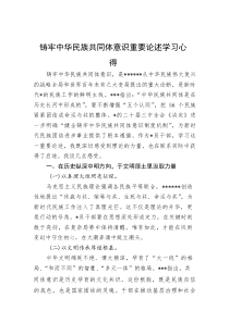 铸牢中华民族共同体意识重要论述学习心得
