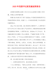 2025年党委书记抓党建述职报告