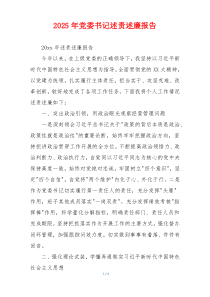 2025年党委书记述责述廉报告