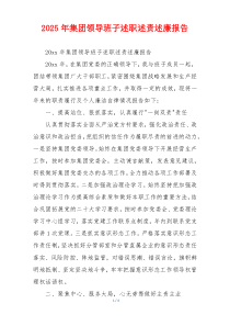 2025年集团领导班子述职述责述廉报告