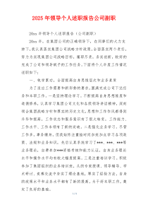2025年领导个人述职报告公司副职