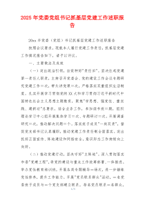 2025年党委党组书记抓基层党建工作述职报告