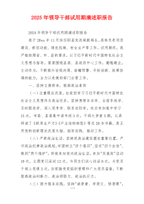 2025年领导干部试用期满述职报告