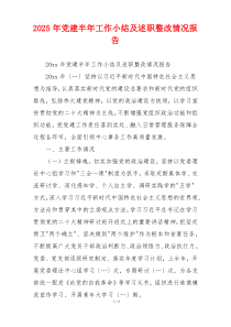 2025年党建半年工作小结及述职整改情况报告