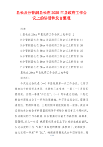 县长及分管副县长在2025年县政府工作会议上的讲话和发言整理