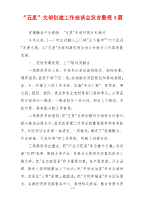 “五星”支部创建工作座谈会发言整理3篇