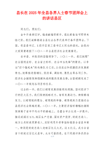 县长在2025年全县各界人士春节团拜会上的讲话县区
