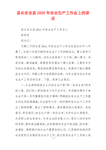 县长在全县2025年安全生产工作会上的讲话