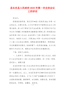 县长在县人民政府2025年第一次全体会议上的讲话