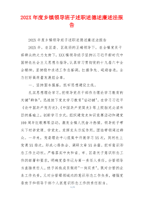 202X年度乡镇领导班子述职述德述廉述法报告