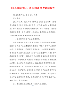 XX县委副书记、县长2025年度述法报告