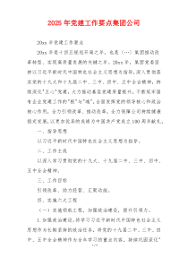 2025年党建工作要点集团公司