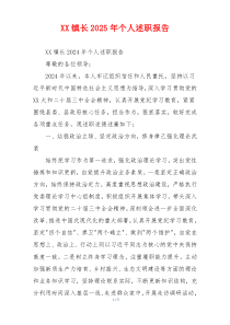 XX镇长2025年个人述职报告