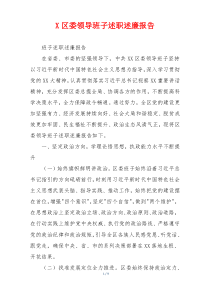 X区委领导班子述职述廉报告