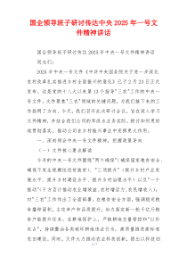 国企领导班子研讨传达中央2025年一号文件精神讲话