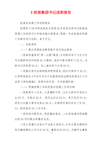 X担保集团书记述职报告