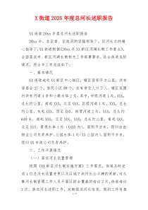 X街道2025年度总河长述职报告