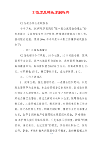 X街道总林长述职报告