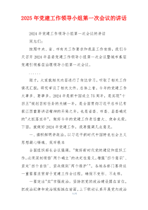 2025年党建工作领导小组第一次会议的讲话