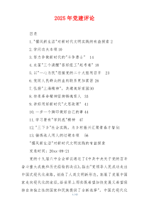 2025年党建评论