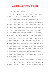 乡镇街道支部书记现实表现材料