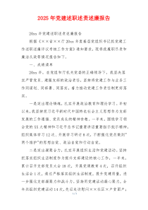 2025年党建述职述责述廉报告