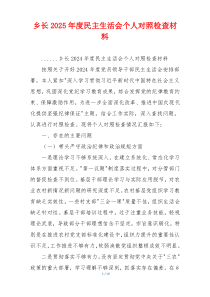 乡长2025年度民主生活会个人对照检查材料
