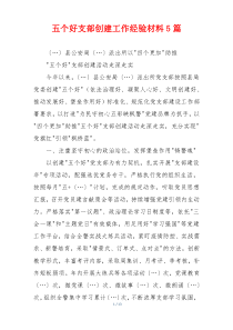 五个好支部创建工作经验材料5篇