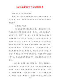2025年党总支书记述职报告