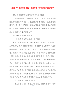 2025年党支部书记党建工作专项述职报告