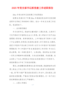 2025年党支部书记抓党建工作述职报告
